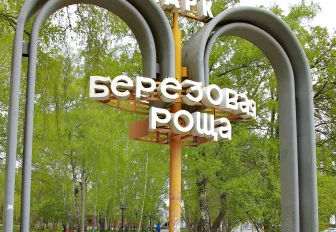 Сделать 10 000 шагов к жизни приглашают новосибирцев 25 сентября