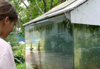 Уникальный двор с аквариумом на Титова: там живут неприхотливые гуппи