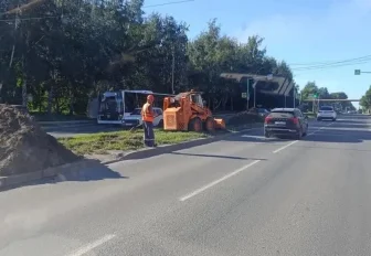 На разделительной полосе вдоль улицы Богдана Хмельницкого обновят газон
