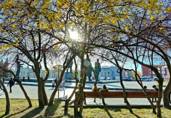 «Наберитесь терпения»: когда в Новосибирск придёт настоящая весна