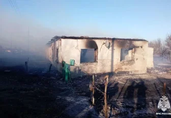 Трёхквартирный дом сгорел из-за костра в Новосибирской области