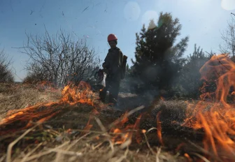 Новосибирское минприроды требует взыскать 271 тысячу за тушение пожара