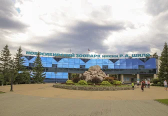 Медвежат-сирот из Владивостока приютил Новосибирский зоопарк