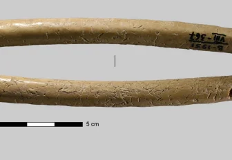 Новосибирские учёные просветили микротомографом древние футляры для игл