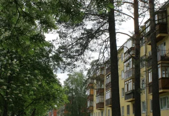 Релиз мистической игры про Академгородок запланировали на сентябрь