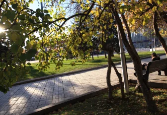 Бабье лето принесёт в Новосибирск 29-градусную жару