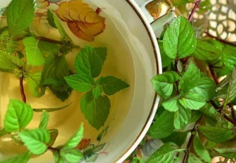 Вершки и корешки: где взять траву в Новосибирске