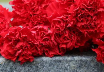 Мэр Кудрявцев: проститься с главой Ленинки пришли сотни новосибирцев