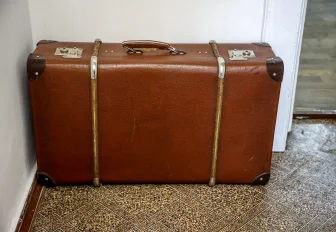 Объявлен конкурс туристических маршрутов: победитель поедет в «Артек»