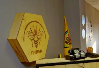 Создать из опилок картину с котиком предложат новосибирцам на экофестивале