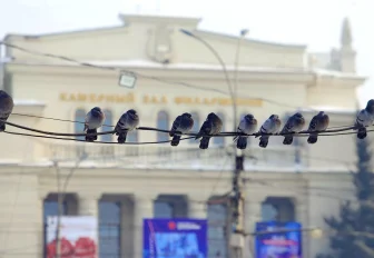 Резкая оттепель до +1 градуса придёт в Новосибирск 6 февраля