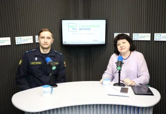 Как часто коллекторы могут звонить должникам: ответ судебного пристава