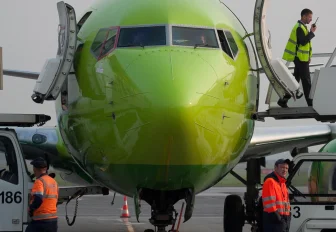 Лиса отправила на второй круг прилетевший в Новосибирск авиалайнер