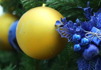 Как выбрать ёлку на Новый год