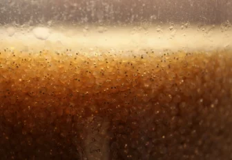 Сибирский завод кормов для рыб планирует выйти на международный рынок