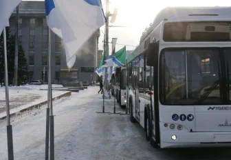 Код города: автобусы самовывозом, новые леса и вкус праздника