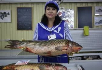 Диетолог предложила сибирский аналог модной средиземноморской диете