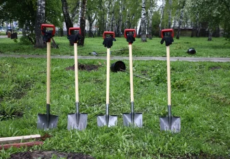 90 дубов из частного питомника высадят в правобережье Новосибирска