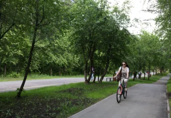 Парки Новосибирска обработают от клещей второй раз за сезон