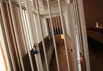 Иностранца арестовали за организацию нелегальной миграции 270 человек