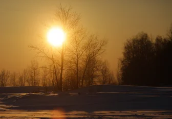 Почему некоторые чихают от яркого солнца — ответ врача из Новосибирска