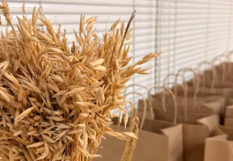 Экскурсия на «Балтику»: чем новосибирский завод готов удивить туристов