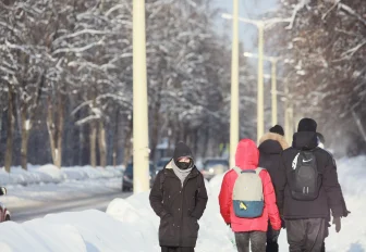 Туристы с Маврикия и Гаити заинтересовались Новосибирской областью