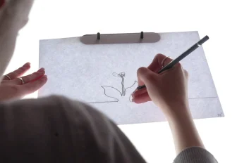 Анимация на кухонном столе: как создать мультфильм в домашних условиях