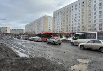 Разбитую улицу Т. Снежиной начнут основательно ремонтировать с 20 апреля