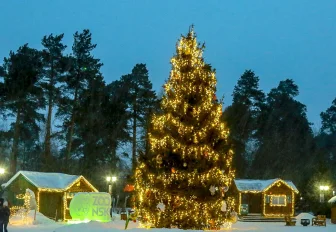 Конкурс ёлочных игрушек объявил Новосибирский зоопарк