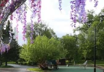 В новом выпуске «Зелёный Новосибирск» урбанист оценила парк «Арена»