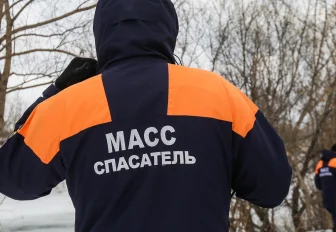 Новосибирские спасатели достали застрявшую в дырке забора собаку