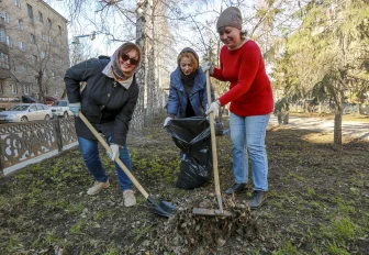 Как организовать и провести субботник