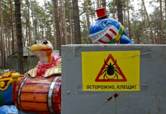 Новосибирск стал лидером по укусам клещей за неделю