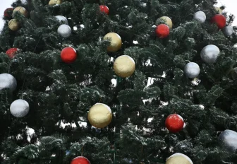 Школьники из Новосибирской области полетят на кремлёвскую ёлку в Москву