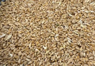 Экскурсия на мелькомбинат: эту муку пытаются подделать в Китае