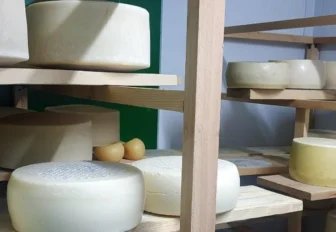 С трюфелем, перцем и черёмухой: как делают крафтовые сыры в Новосибирске