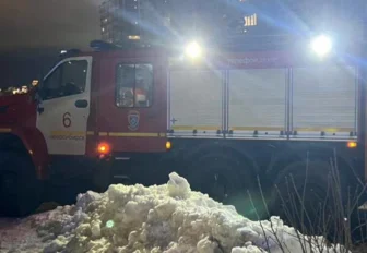 В Новосибирске за неделю потушили 27 пожаров, один из них устроила собака