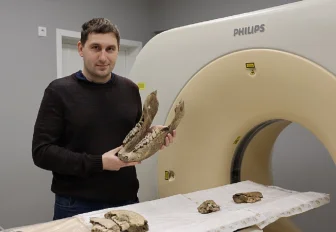 Челюсти древних носорогов исследовали на КТ в Новосибирске