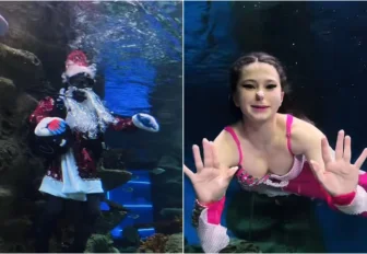 Русалочка и Дед Мороз-водолаз поздравили новосибирцев в океанариуме: видео