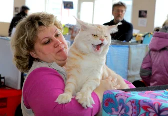 Конкурс на самого смешного питомца объявили в Новосибирске