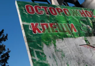 Как защитить себя от укуса клеща