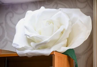 Если вы пропустили: мегацветы, оранжевый троллейбус и платья принцесс