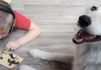 Железные лапки, Пират и сова из курятника: 14 фото животных с тяжёлой судьбой