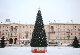 Успейте полюбоваться: новогодние ёлки начали убирать с улиц Новосибирска