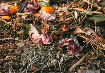 МУП «САХ» запретило жителям Новосибирска выбрасывать ботву в контейнеры