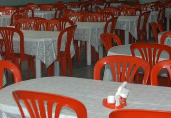 Из-за розовой курицы проверяют детский лагерь под Новосибирском