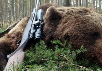 Новосибирец попал под уголовное дело из-за селфи с медведем