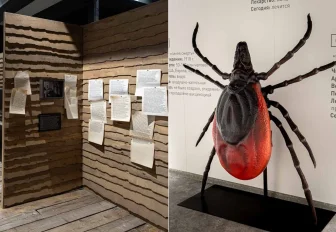 Поймать клеща с поличным предлагают в новосибирском Музее природы