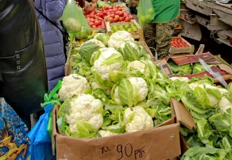 Готовьте овощи на зиму: адреса и даты осенних ярмарок в Новосибирске